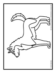 43